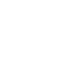 Mesa de trabajo 2 copia 7@4x 8 1