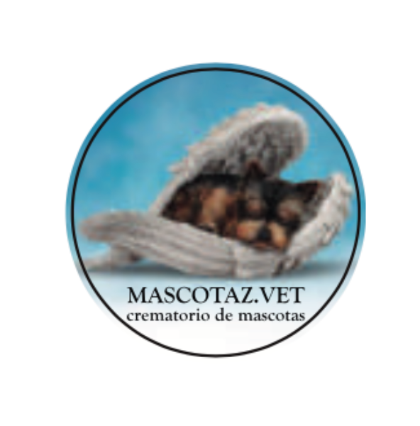 Captura de Pantalla 2022 10 25 a las 17.26.28