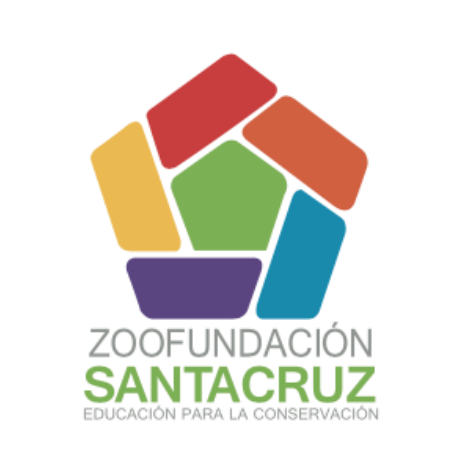 Captura de pantalla 2022 10 31 a las 11.45.50