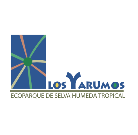 Captura de pantalla 2022 10 31 a las 11.46.11